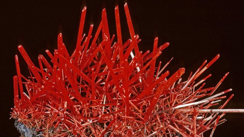 Крокоит. Фото: wikipedia.org/ Rock Currier Крокоит. Фото: wikipedia.org/ Rock Currier