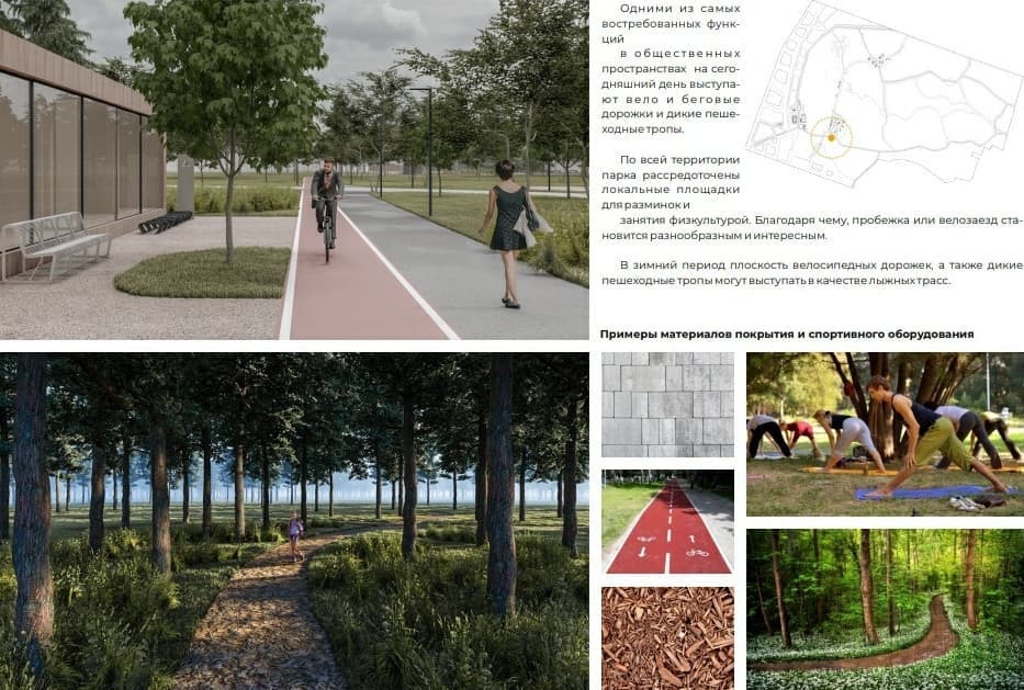 Дико растущие деревья, похоже, придется прореживать Дико растущие деревья, похоже, придется прореживать