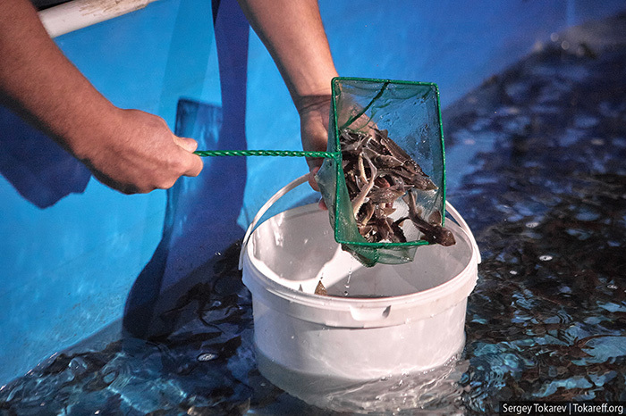 Энергия действий: вызовы и решения Богучанской ГЭС 3 Энергия действий: вызовы и решения Богучанской ГЭС 3