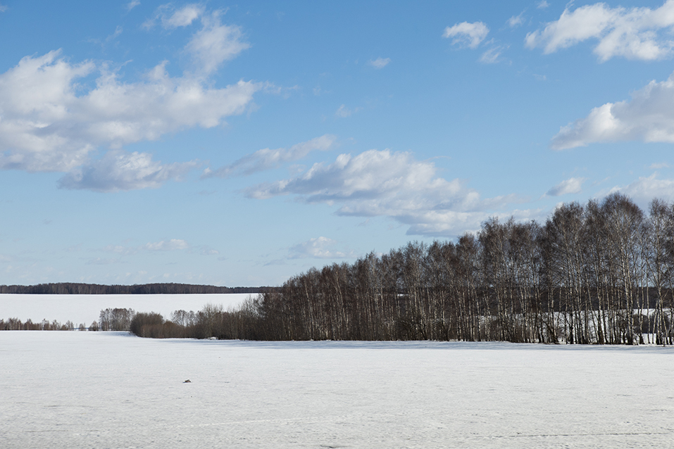 Евгений Демидов: «Невозможно быть фермером и воспринимать это просто как работу» 3 Евгений Демидов: «Невозможно быть фермером и воспринимать это просто как работу» 3