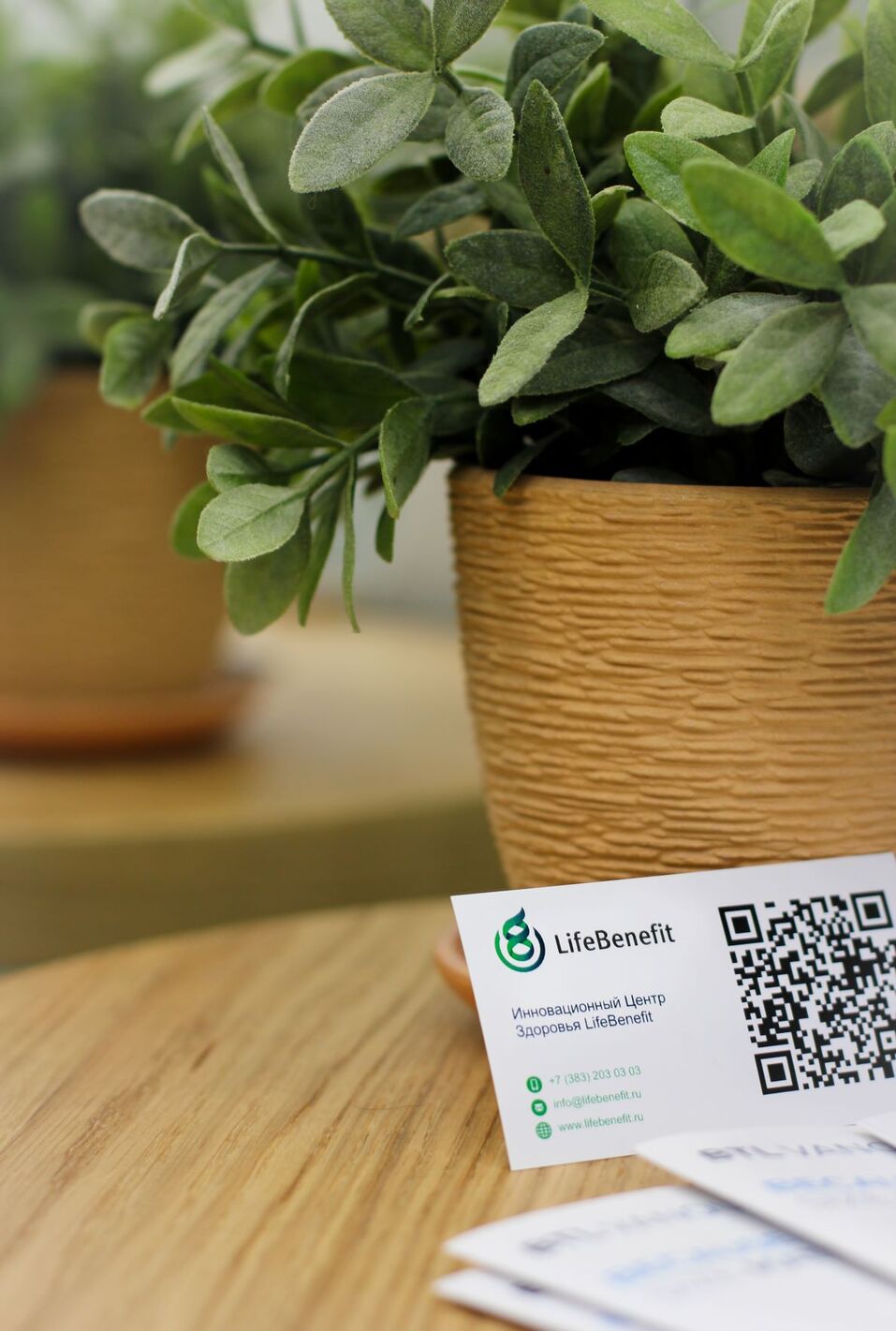 Летний отпуск. Кто куда, а я в LifeBenefit! 2 Летний отпуск. Кто куда, а я в LifeBenefit! 2