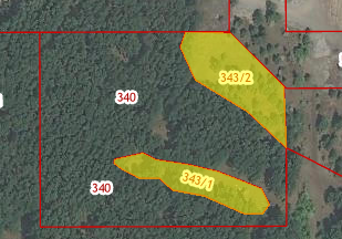 Мэрия Челябинска разрешила вырубить лес для катка УралГУФК 1 Мэрия Челябинска разрешила вырубить лес для катка УралГУФК 1