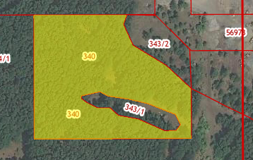Мэрия Челябинска разрешила вырубить лес для катка УралГУФК 2 Мэрия Челябинска разрешила вырубить лес для катка УралГУФК 2