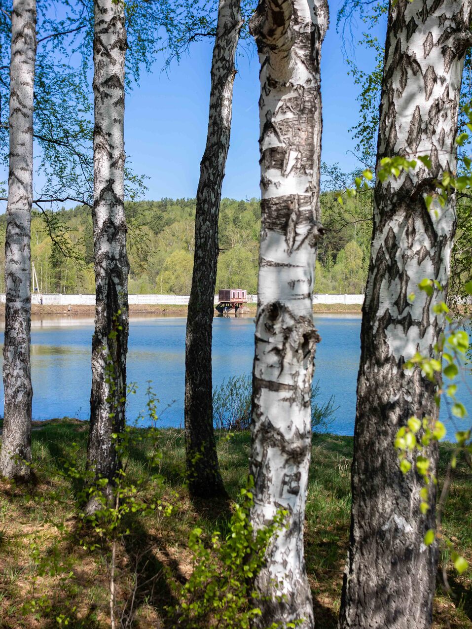 Новосибирский застройщик презентовал новый эко-квартал на берегу озера 30 Новосибирский застройщик презентовал новый эко-квартал на берегу озера 30