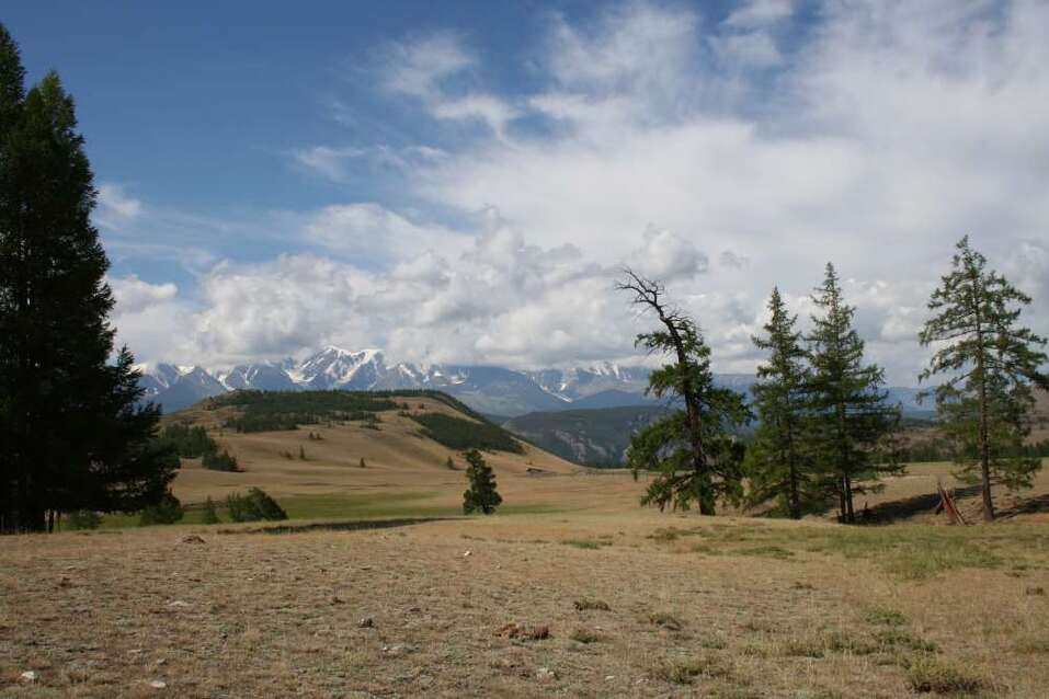 Алтайский пейзаж Алтайский пейзаж