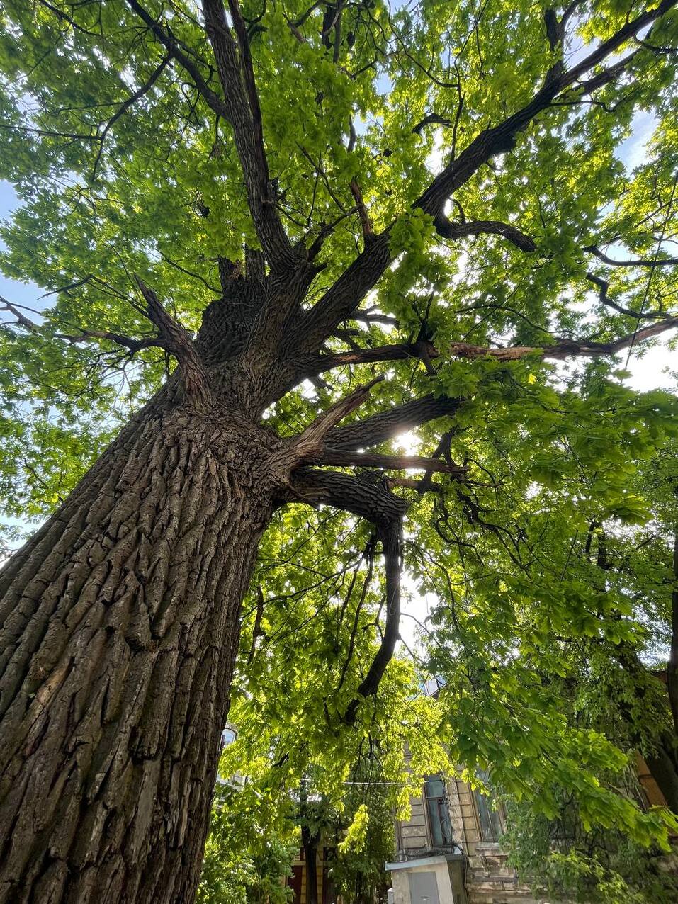 Фото?t.me/id_lagutin Фото?t.me/id_lagutin