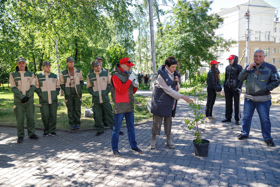 Издание «Деловой квартал» и новосибирское бизнес-сообщество подарили городу зеленую аллею 24