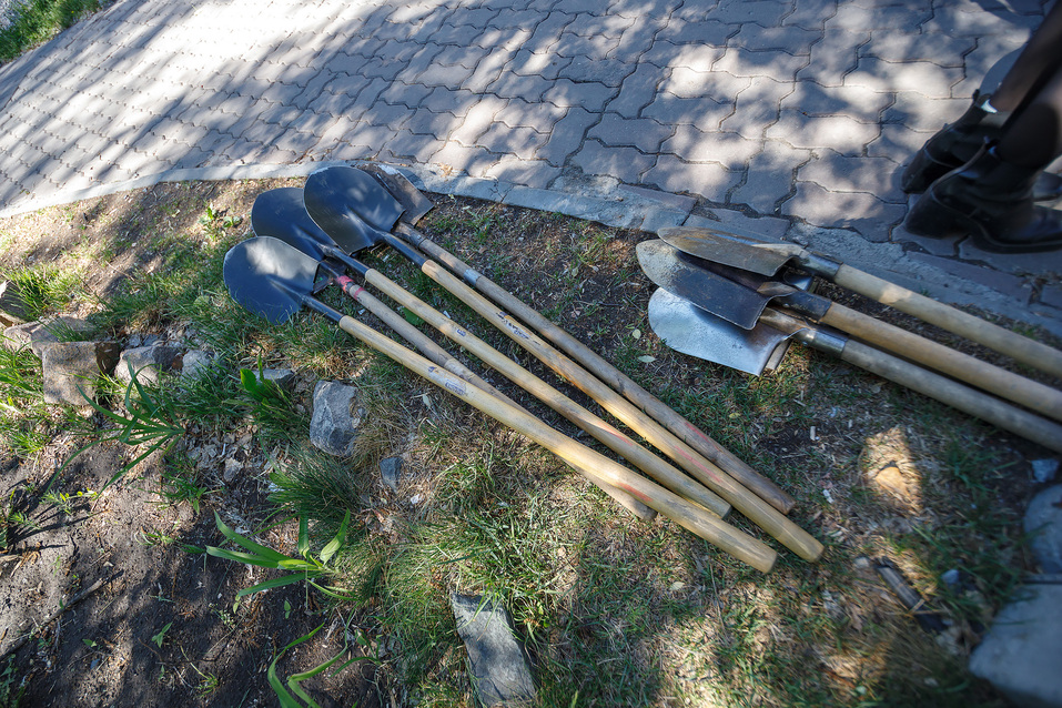 Издание «Деловой квартал» и новосибирское бизнес-сообщество подарили городу зеленую аллею 25 Издание «Деловой квартал» и новосибирское бизнес-сообщество подарили городу зеленую аллею 25