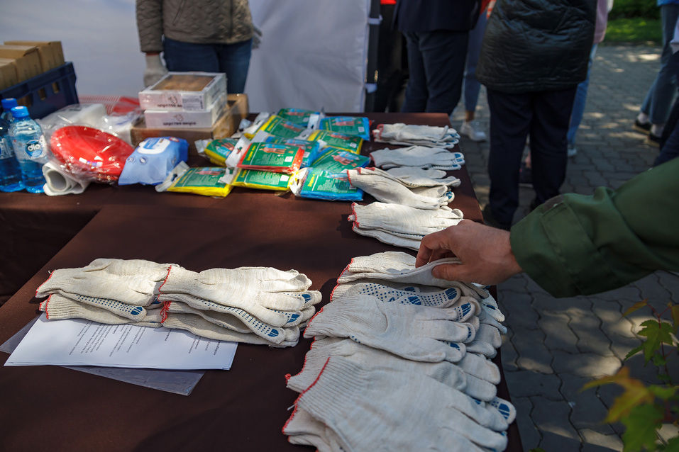 Издание «Деловой квартал» и новосибирское бизнес-сообщество подарили городу зеленую аллею 26 Издание «Деловой квартал» и новосибирское бизнес-сообщество подарили городу зеленую аллею 26