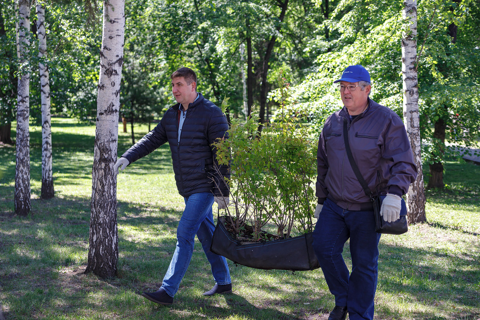 Издание «Деловой квартал» и новосибирское бизнес-сообщество подарили городу зеленую аллею 27 Издание «Деловой квартал» и новосибирское бизнес-сообщество подарили городу зеленую аллею 27