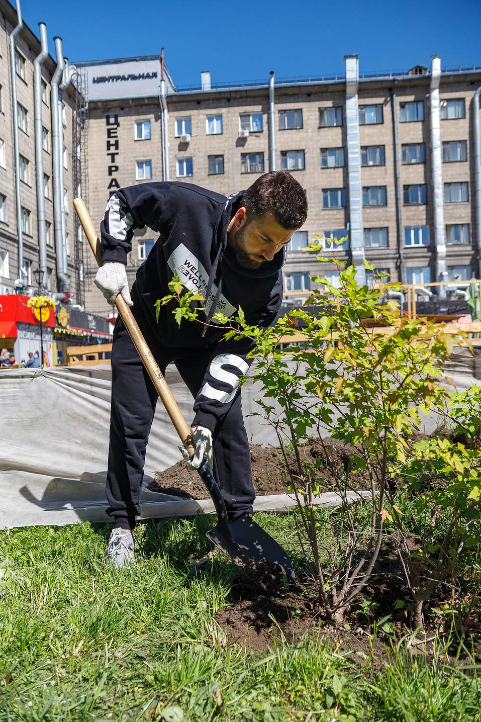 Издание «Деловой квартал» и новосибирское бизнес-сообщество подарили городу зеленую аллею 33 Издание «Деловой квартал» и новосибирское бизнес-сообщество подарили городу зеленую аллею 33