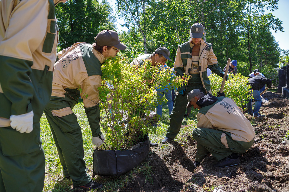 Издание «Деловой квартал» и новосибирское бизнес-сообщество подарили городу зеленую аллею 34 Издание «Деловой квартал» и новосибирское бизнес-сообщество подарили городу зеленую аллею 34
