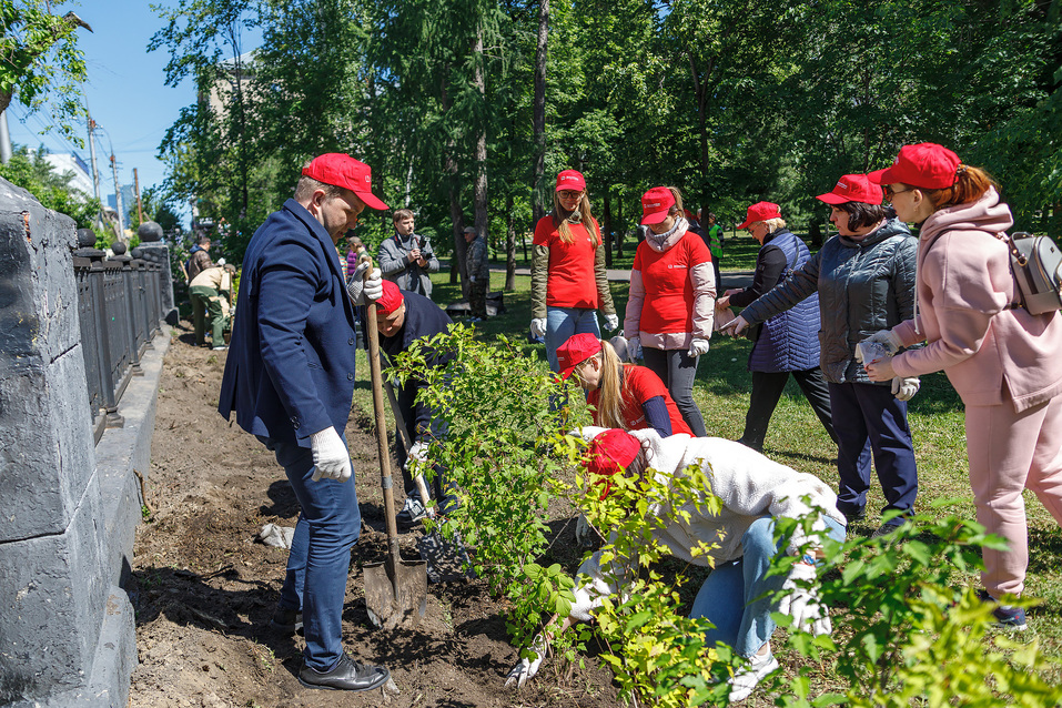 Издание «Деловой квартал» и новосибирское бизнес-сообщество подарили городу зеленую аллею 45