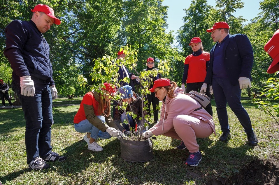 Издание «Деловой квартал» и новосибирское бизнес-сообщество подарили городу зеленую аллею 47