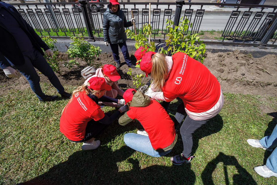 Издание «Деловой квартал» и новосибирское бизнес-сообщество подарили городу зеленую аллею 48 Издание «Деловой квартал» и новосибирское бизнес-сообщество подарили городу зеленую аллею 48