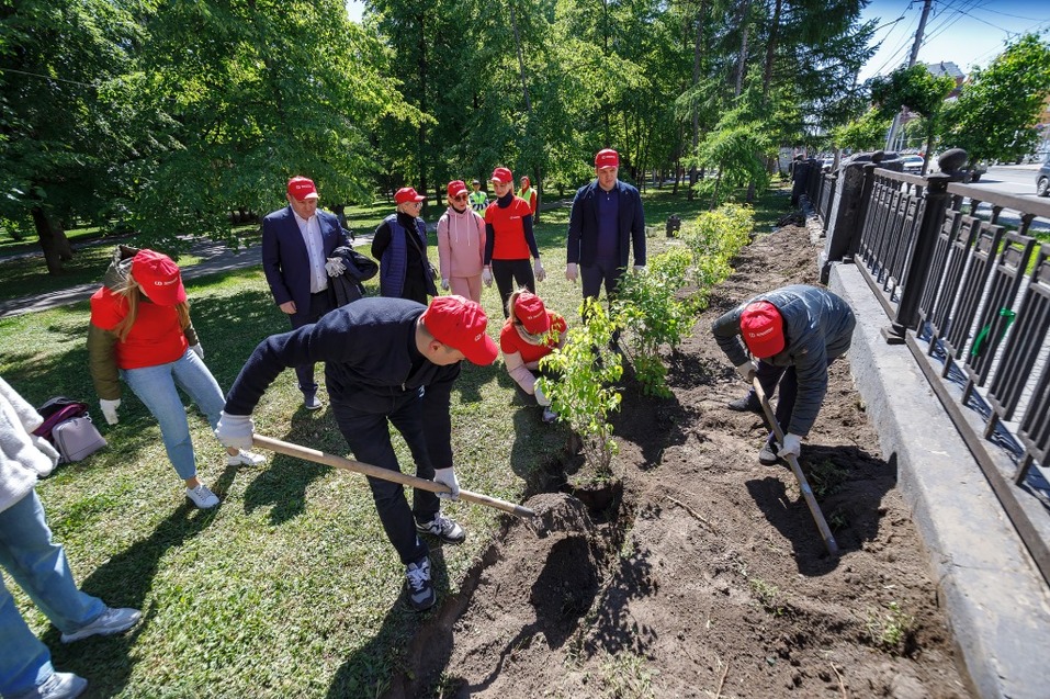 Издание «Деловой квартал» и новосибирское бизнес-сообщество подарили городу зеленую аллею 50 Издание «Деловой квартал» и новосибирское бизнес-сообщество подарили городу зеленую аллею 50