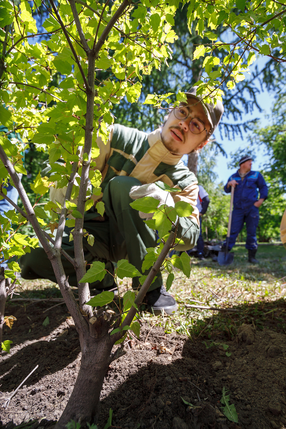 Издание «Деловой квартал» и новосибирское бизнес-сообщество подарили городу зеленую аллею 51 Издание «Деловой квартал» и новосибирское бизнес-сообщество подарили городу зеленую аллею 51