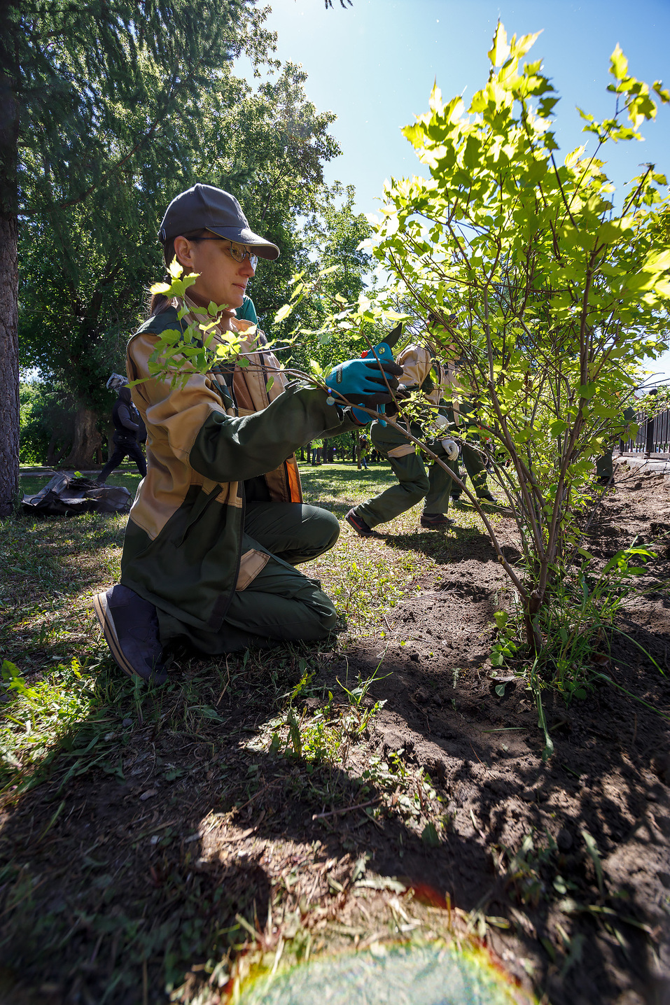 Издание «Деловой квартал» и новосибирское бизнес-сообщество подарили городу зеленую аллею 52 Издание «Деловой квартал» и новосибирское бизнес-сообщество подарили городу зеленую аллею 52