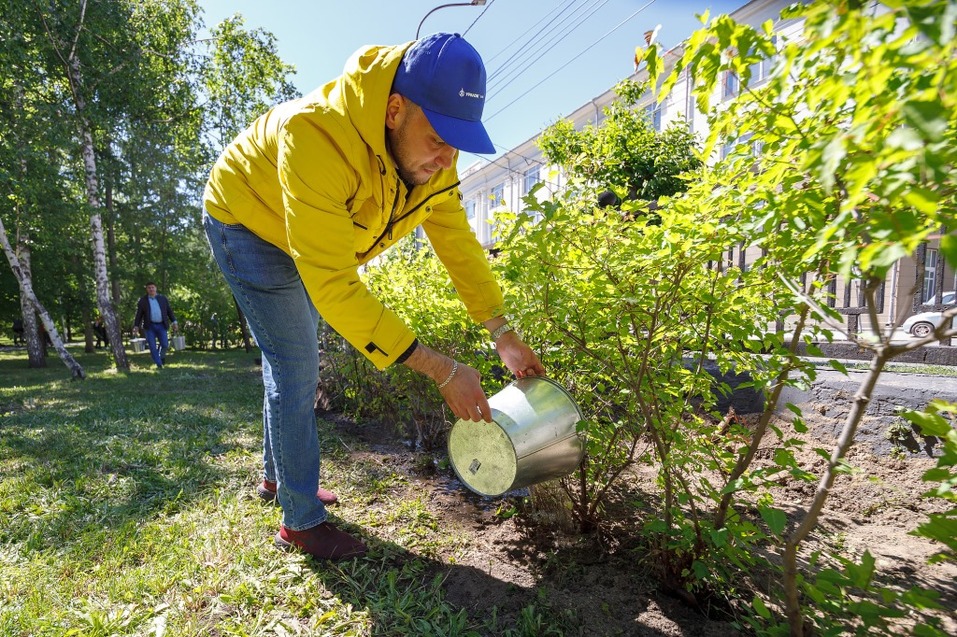 Издание «Деловой квартал» и новосибирское бизнес-сообщество подарили городу зеленую аллею 54 Издание «Деловой квартал» и новосибирское бизнес-сообщество подарили городу зеленую аллею 54