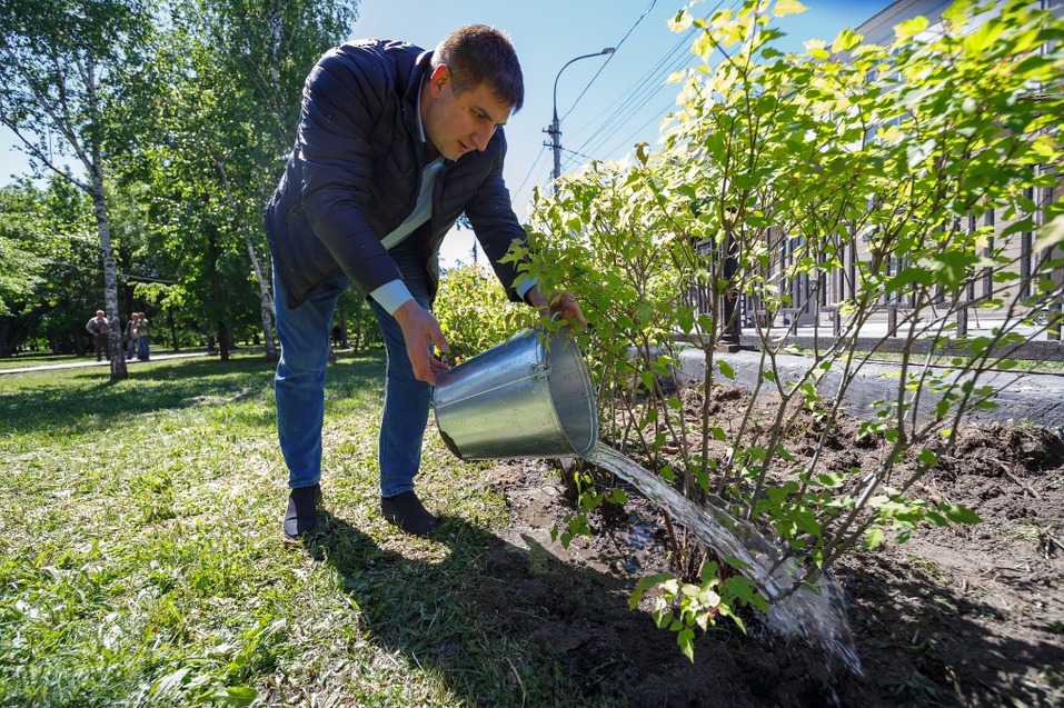 Издание «Деловой квартал» и новосибирское бизнес-сообщество подарили городу зеленую аллею 56 Издание «Деловой квартал» и новосибирское бизнес-сообщество подарили городу зеленую аллею 56