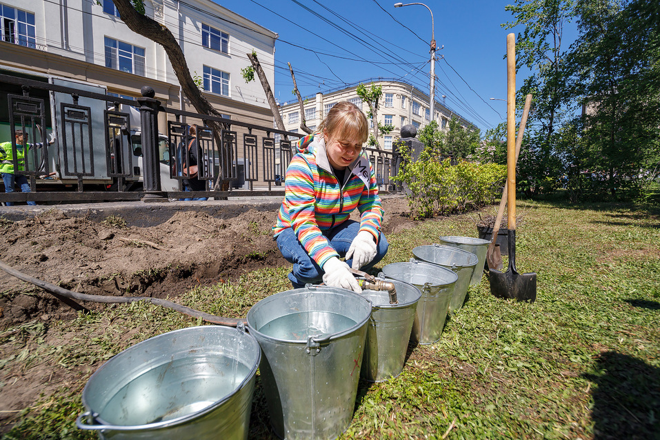 Издание «Деловой квартал» и новосибирское бизнес-сообщество подарили городу зеленую аллею 58 Издание «Деловой квартал» и новосибирское бизнес-сообщество подарили городу зеленую аллею 58