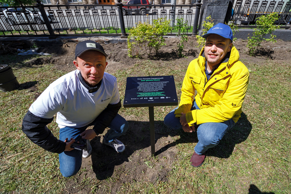 Издание «Деловой квартал» и новосибирское бизнес-сообщество подарили городу зеленую аллею 59