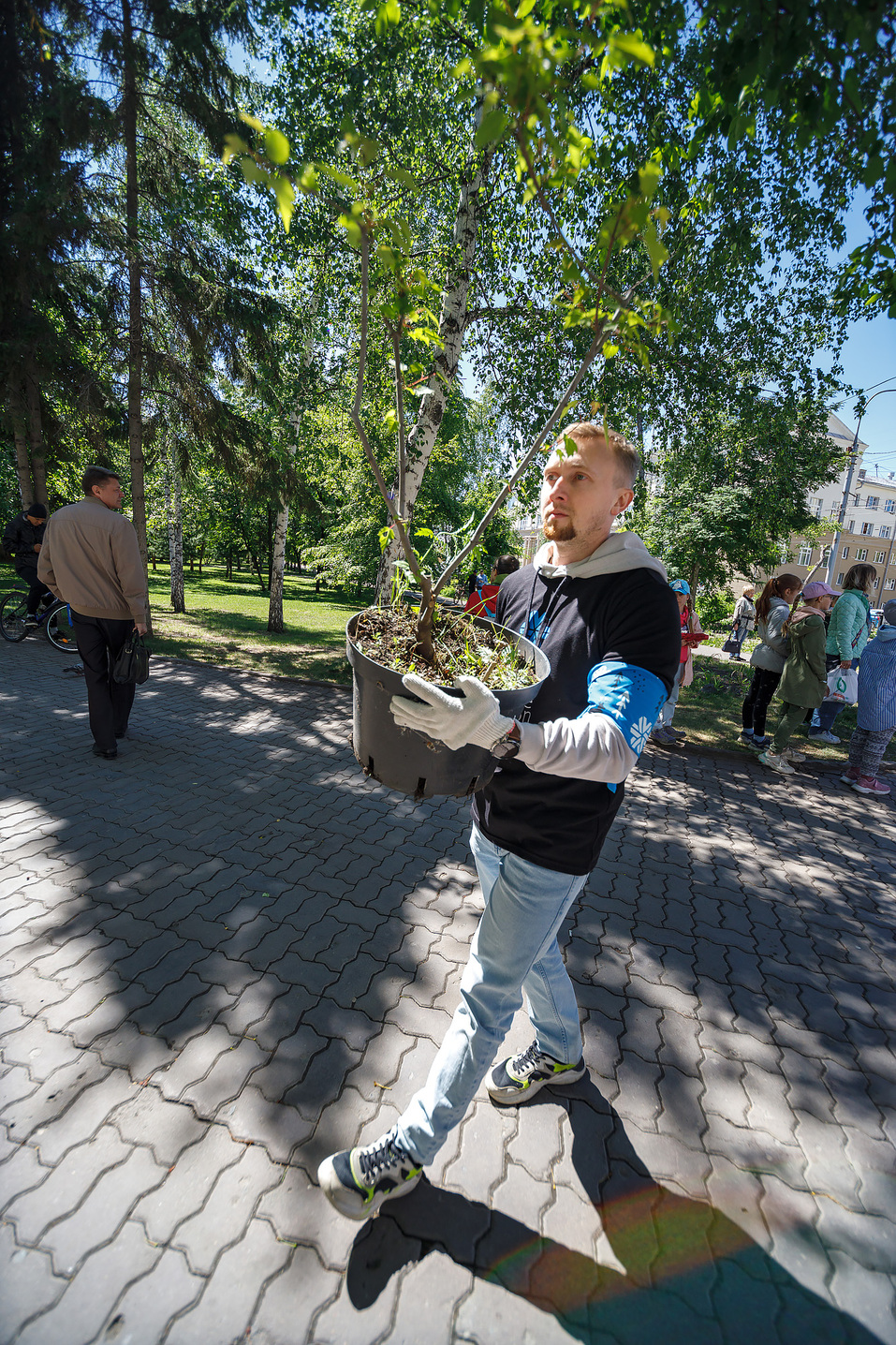 Издание «Деловой квартал» и новосибирское бизнес-сообщество подарили городу зеленую аллею 60