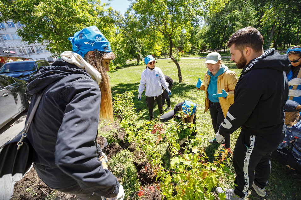 Издание «Деловой квартал» и новосибирское бизнес-сообщество подарили городу зеленую аллею 63 Издание «Деловой квартал» и новосибирское бизнес-сообщество подарили городу зеленую аллею 63