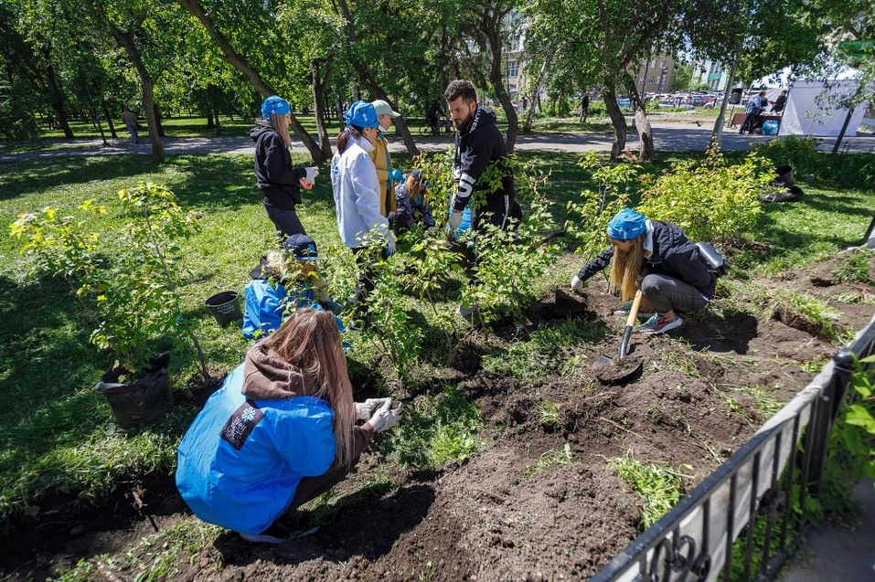 Издание «Деловой квартал» и новосибирское бизнес-сообщество подарили городу зеленую аллею 65