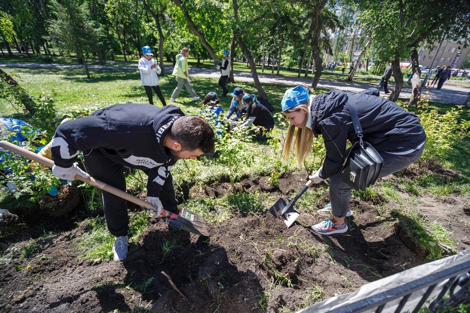 Издание «Деловой квартал» и новосибирское бизнес-сообщество подарили городу зеленую аллею 68 Издание «Деловой квартал» и новосибирское бизнес-сообщество подарили городу зеленую аллею 68