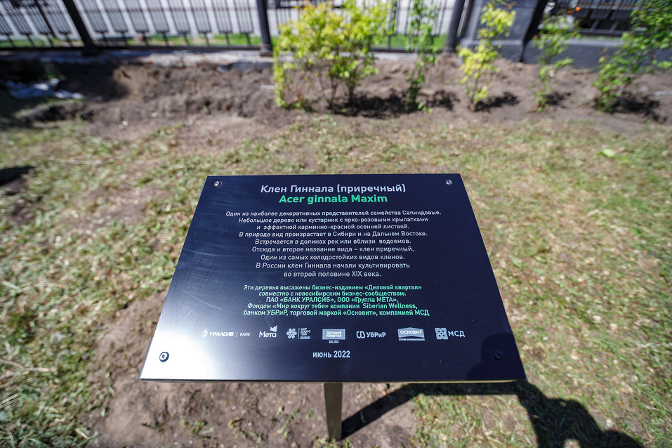 Издание «Деловой квартал» и новосибирское бизнес-сообщество подарили городу зеленую аллею 89 Издание «Деловой квартал» и новосибирское бизнес-сообщество подарили городу зеленую аллею 89