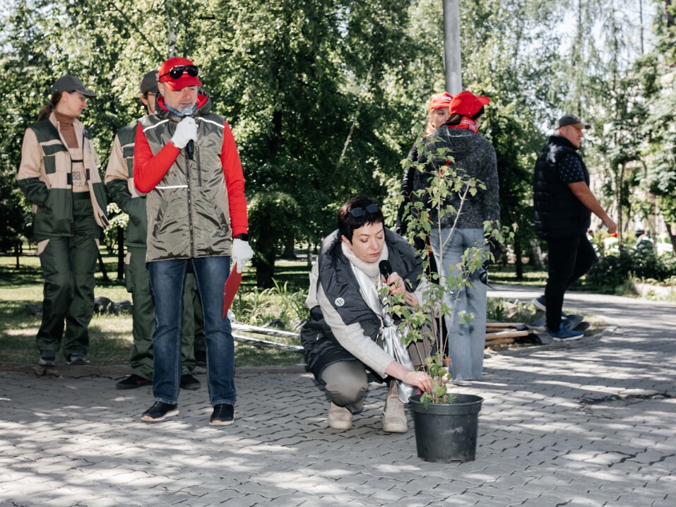 Издание «Деловой квартал» и новосибирское бизнес-сообщество подарили городу зеленую аллею 119 Издание «Деловой квартал» и новосибирское бизнес-сообщество подарили городу зеленую аллею 119