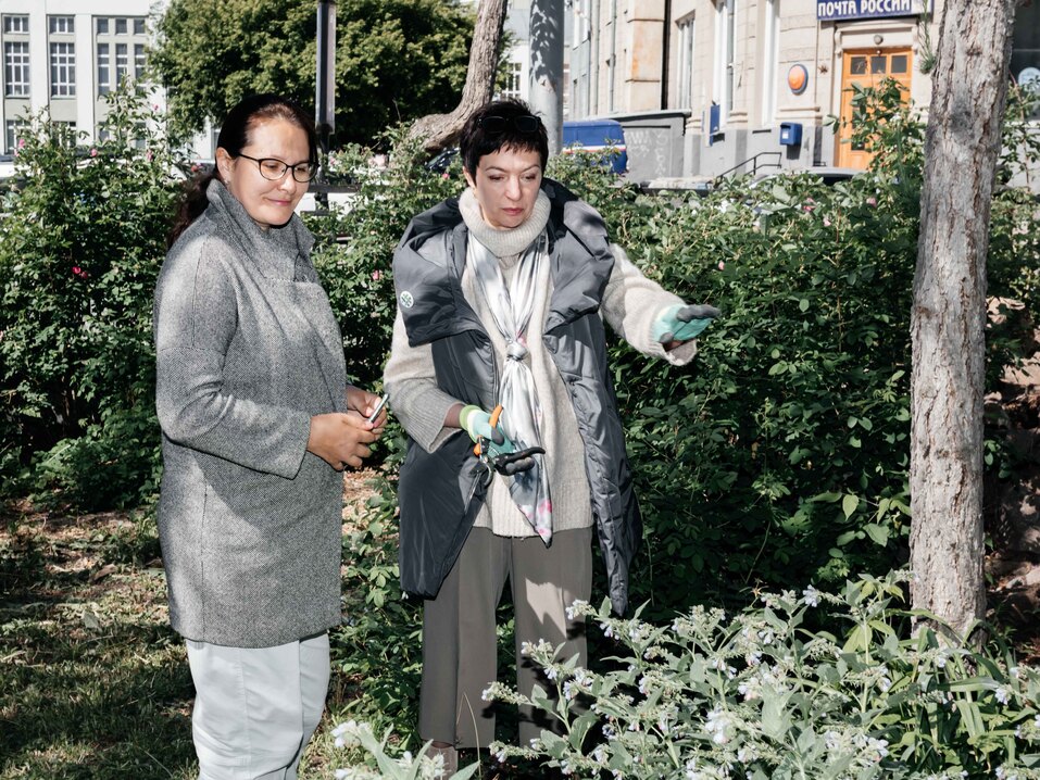 Издание «Деловой квартал» и новосибирское бизнес-сообщество подарили городу зеленую аллею 125 Издание «Деловой квартал» и новосибирское бизнес-сообщество подарили городу зеленую аллею 125