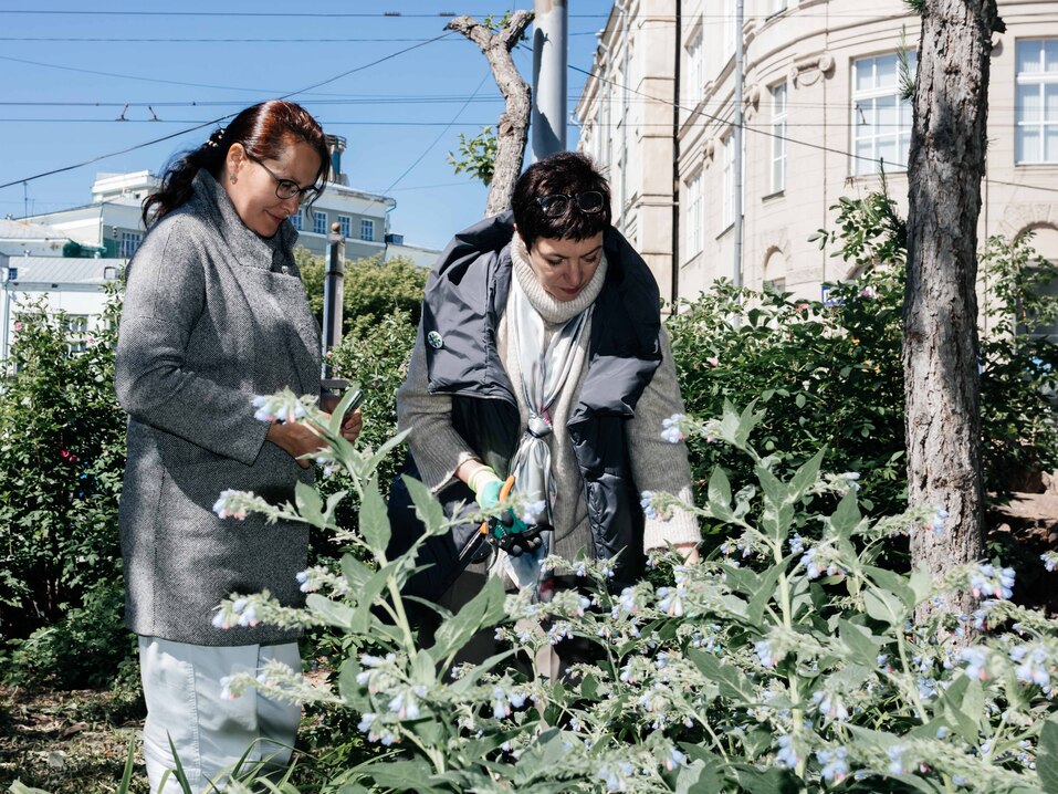 Издание «Деловой квартал» и новосибирское бизнес-сообщество подарили городу зеленую аллею 126