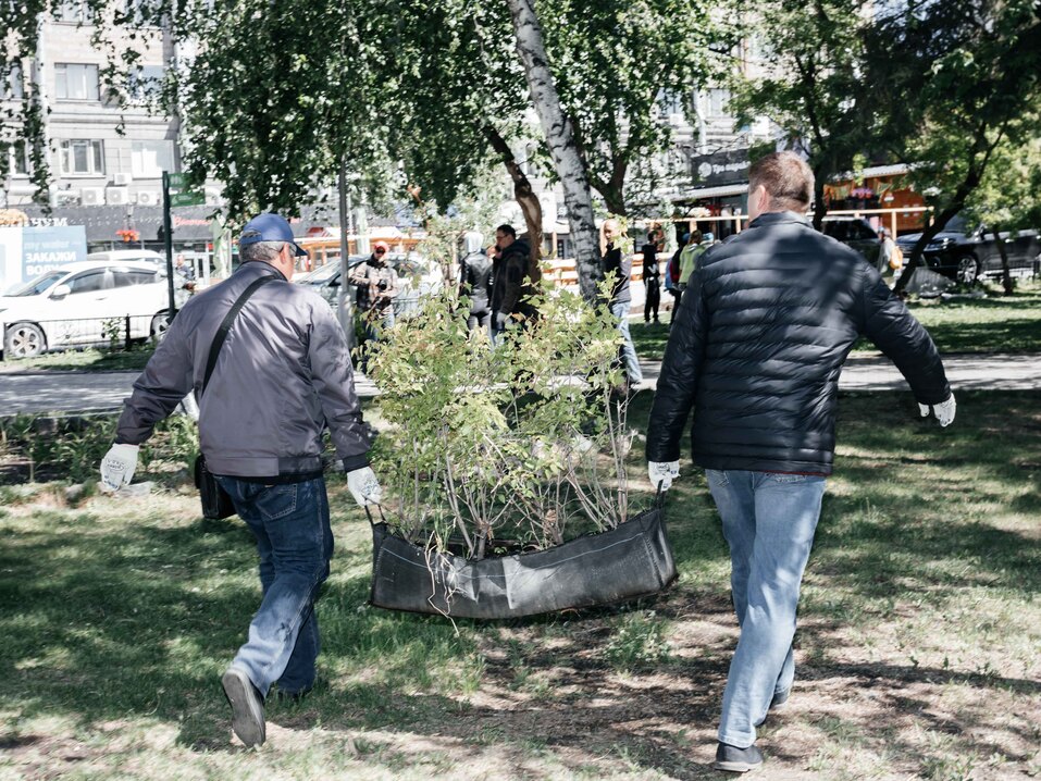 Издание «Деловой квартал» и новосибирское бизнес-сообщество подарили городу зеленую аллею 127