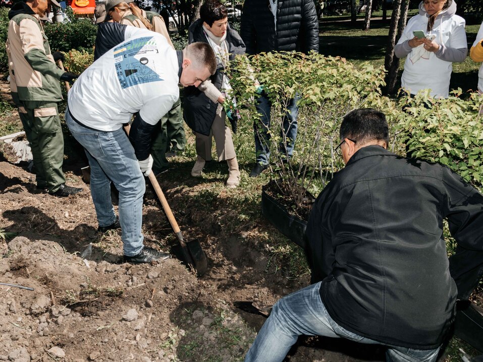 Издание «Деловой квартал» и новосибирское бизнес-сообщество подарили городу зеленую аллею 129 Издание «Деловой квартал» и новосибирское бизнес-сообщество подарили городу зеленую аллею 129
