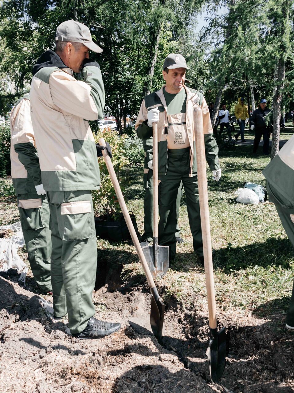 Издание «Деловой квартал» и новосибирское бизнес-сообщество подарили городу зеленую аллею 130 Издание «Деловой квартал» и новосибирское бизнес-сообщество подарили городу зеленую аллею 130