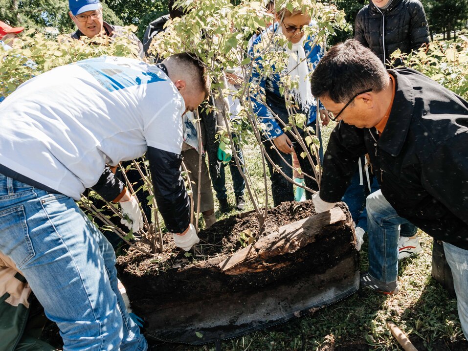 Издание «Деловой квартал» и новосибирское бизнес-сообщество подарили городу зеленую аллею 131 Издание «Деловой квартал» и новосибирское бизнес-сообщество подарили городу зеленую аллею 131
