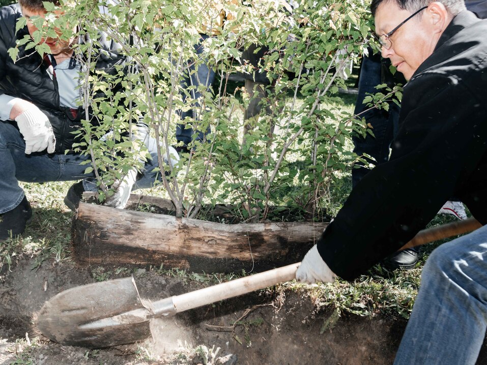 Издание «Деловой квартал» и новосибирское бизнес-сообщество подарили городу зеленую аллею 133 Издание «Деловой квартал» и новосибирское бизнес-сообщество подарили городу зеленую аллею 133