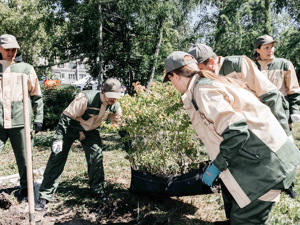 Издание «Деловой квартал» и новосибирское бизнес-сообщество подарили городу зеленую аллею 134 Издание «Деловой квартал» и новосибирское бизнес-сообщество подарили городу зеленую аллею 134