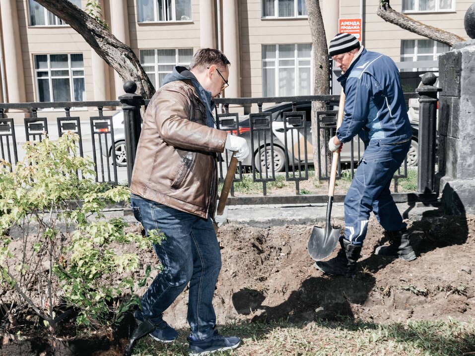 Издание «Деловой квартал» и новосибирское бизнес-сообщество подарили городу зеленую аллею 135 Издание «Деловой квартал» и новосибирское бизнес-сообщество подарили городу зеленую аллею 135