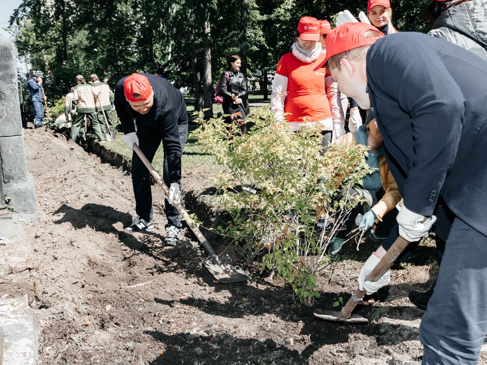 Издание «Деловой квартал» и новосибирское бизнес-сообщество подарили городу зеленую аллею 141 Издание «Деловой квартал» и новосибирское бизнес-сообщество подарили городу зеленую аллею 141