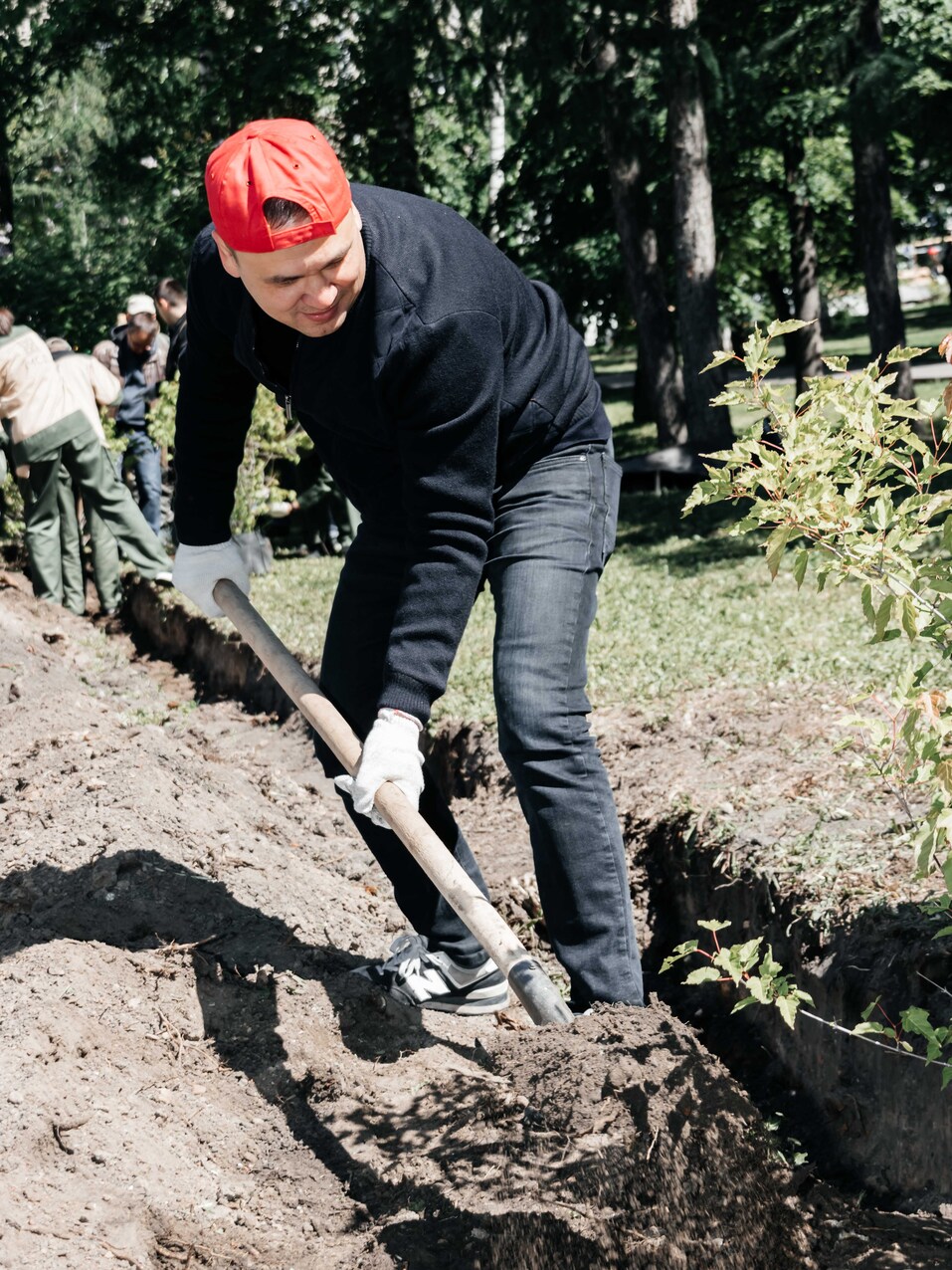 Издание «Деловой квартал» и новосибирское бизнес-сообщество подарили городу зеленую аллею 143 Издание «Деловой квартал» и новосибирское бизнес-сообщество подарили городу зеленую аллею 143