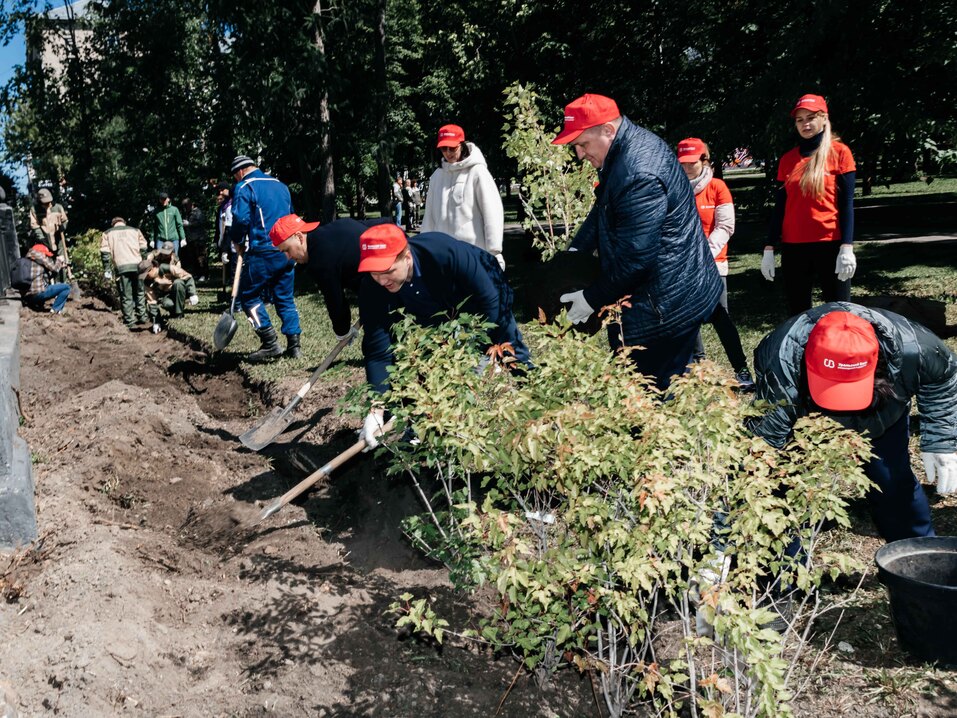 Издание «Деловой квартал» и новосибирское бизнес-сообщество подарили городу зеленую аллею 147 Издание «Деловой квартал» и новосибирское бизнес-сообщество подарили городу зеленую аллею 147