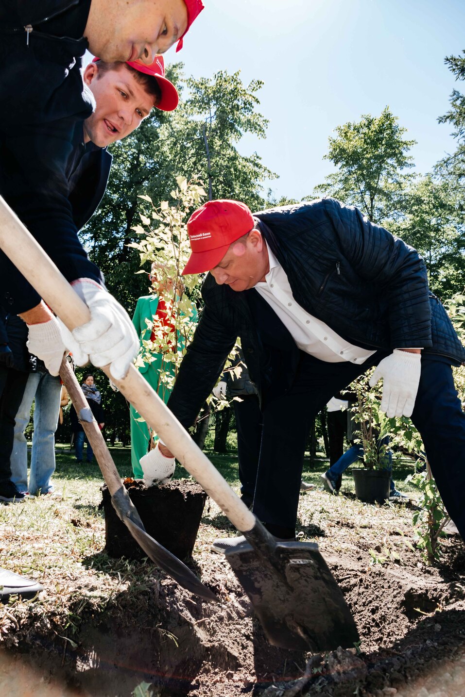 Издание «Деловой квартал» и новосибирское бизнес-сообщество подарили городу зеленую аллею 149 Издание «Деловой квартал» и новосибирское бизнес-сообщество подарили городу зеленую аллею 149