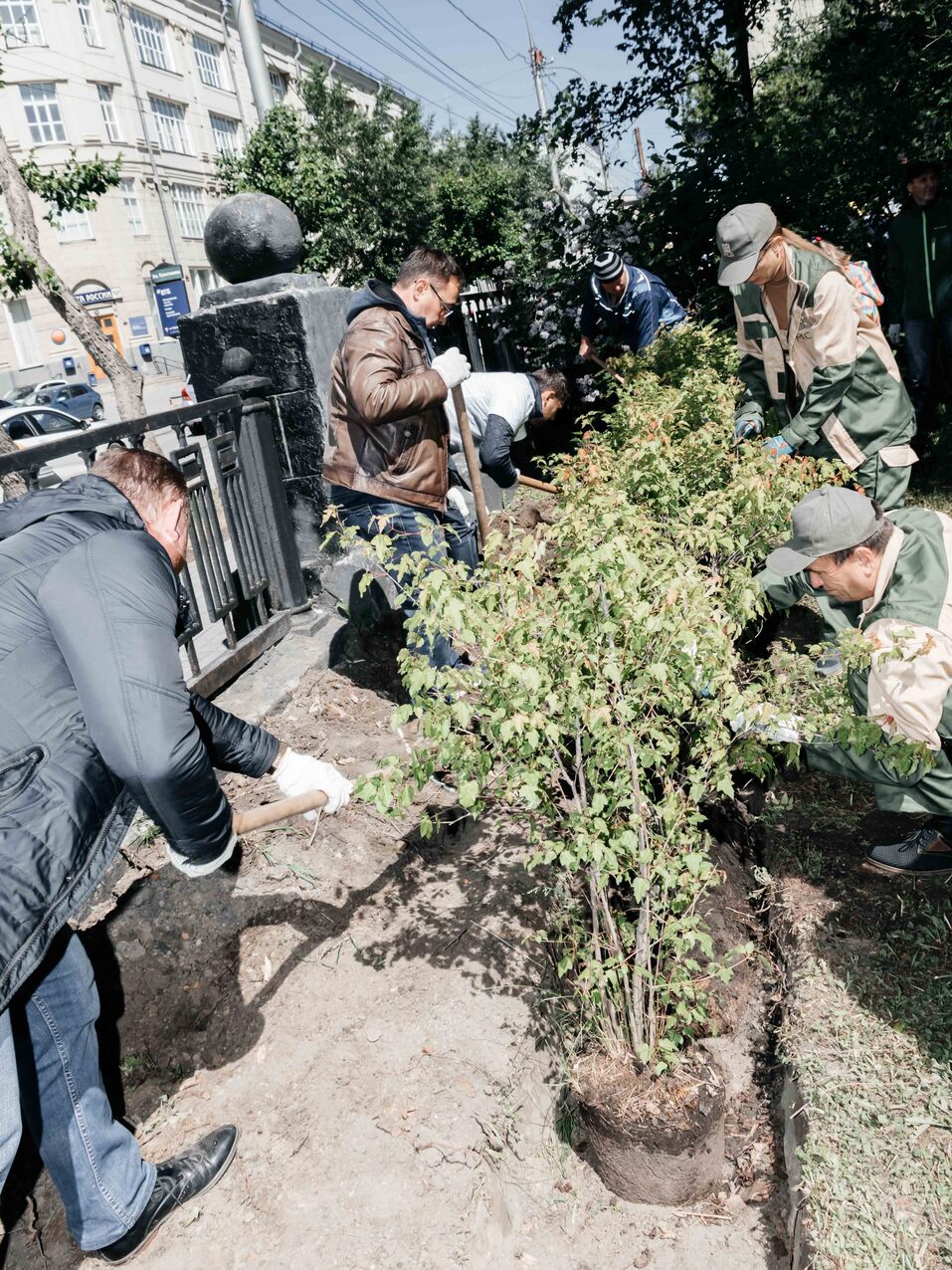 Издание «Деловой квартал» и новосибирское бизнес-сообщество подарили городу зеленую аллею 153 Издание «Деловой квартал» и новосибирское бизнес-сообщество подарили городу зеленую аллею 153