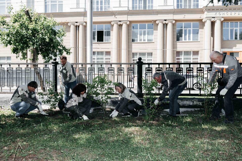 Издание «Деловой квартал» и новосибирское бизнес-сообщество подарили городу зеленую аллею 158 Издание «Деловой квартал» и новосибирское бизнес-сообщество подарили городу зеленую аллею 158