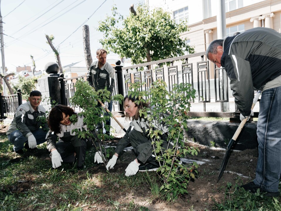 Издание «Деловой квартал» и новосибирское бизнес-сообщество подарили городу зеленую аллею 159 Издание «Деловой квартал» и новосибирское бизнес-сообщество подарили городу зеленую аллею 159