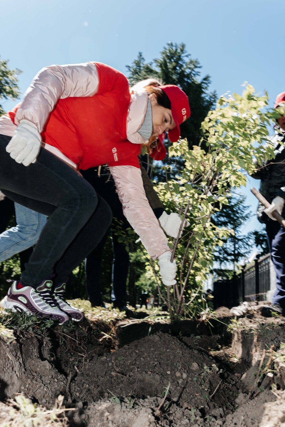 Издание «Деловой квартал» и новосибирское бизнес-сообщество подарили городу зеленую аллею 161 Издание «Деловой квартал» и новосибирское бизнес-сообщество подарили городу зеленую аллею 161