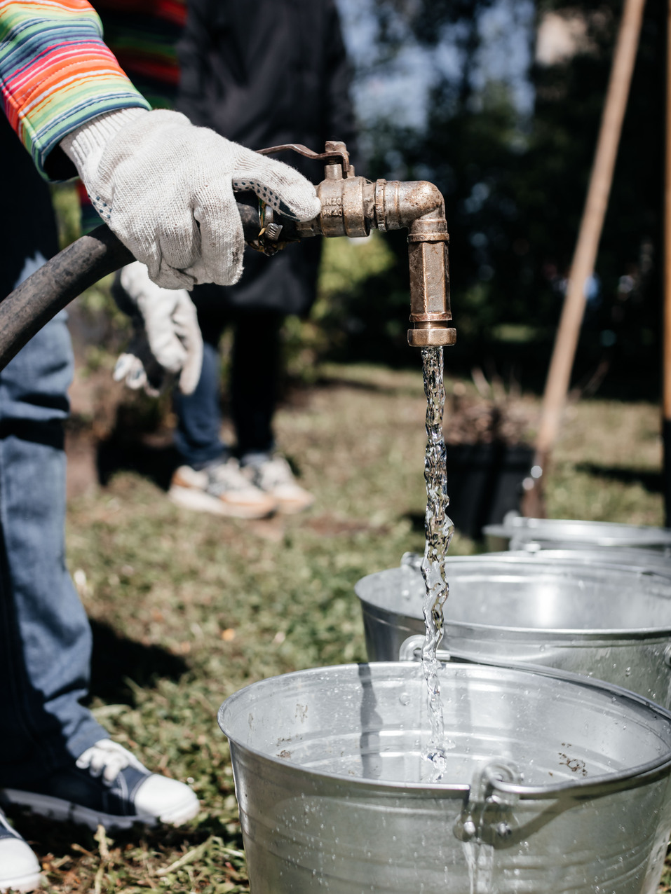 Издание «Деловой квартал» и новосибирское бизнес-сообщество подарили городу зеленую аллею 167 Издание «Деловой квартал» и новосибирское бизнес-сообщество подарили городу зеленую аллею 167